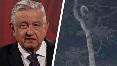 Mexican president wood elf - Feb 26, 2023 · MEXICO CITY (AP) — Mexico’s president posted a photo on his social media accounts Saturday showing what he said appeared to be a mythological woodland spirit similar to an elf. President ... 